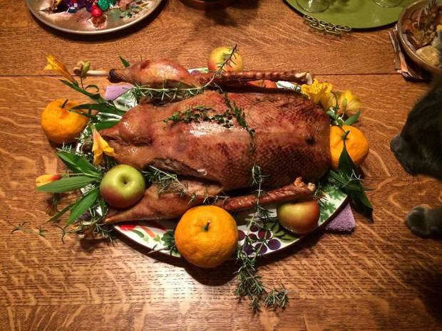 My Goose is Cooked and a Cat Likes It Just Fine